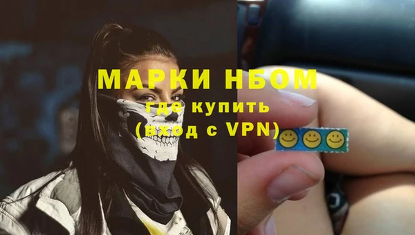 mdpv Ельня