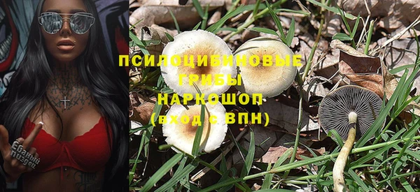 таблы Елабуга