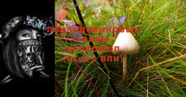 таблы Елабуга