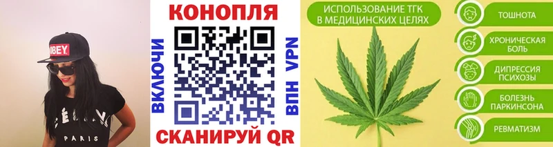 где купить наркоту  Елизово  Канабис SATIVA & INDICA 